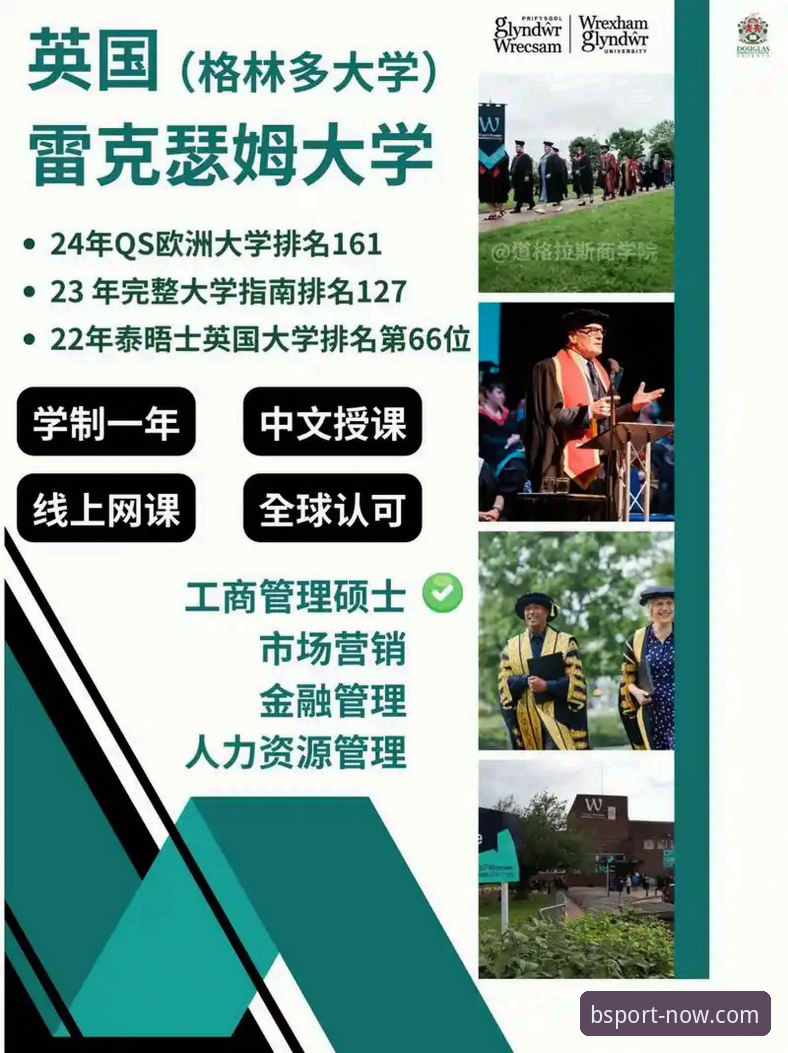 B体育最新官网下载操作教程：从安装到注册的完整指南