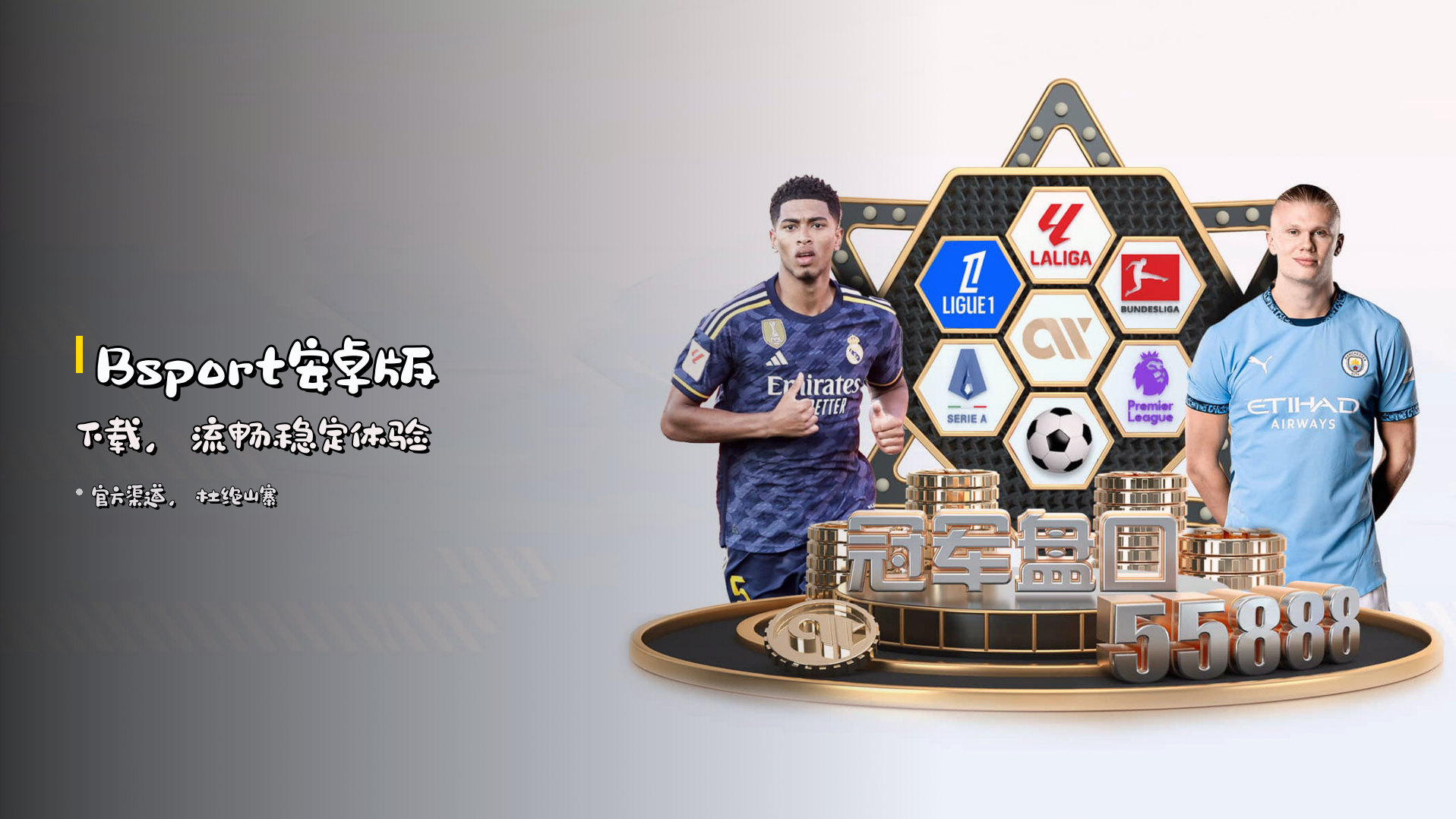 Bsport安卓版下载，流畅稳定体验